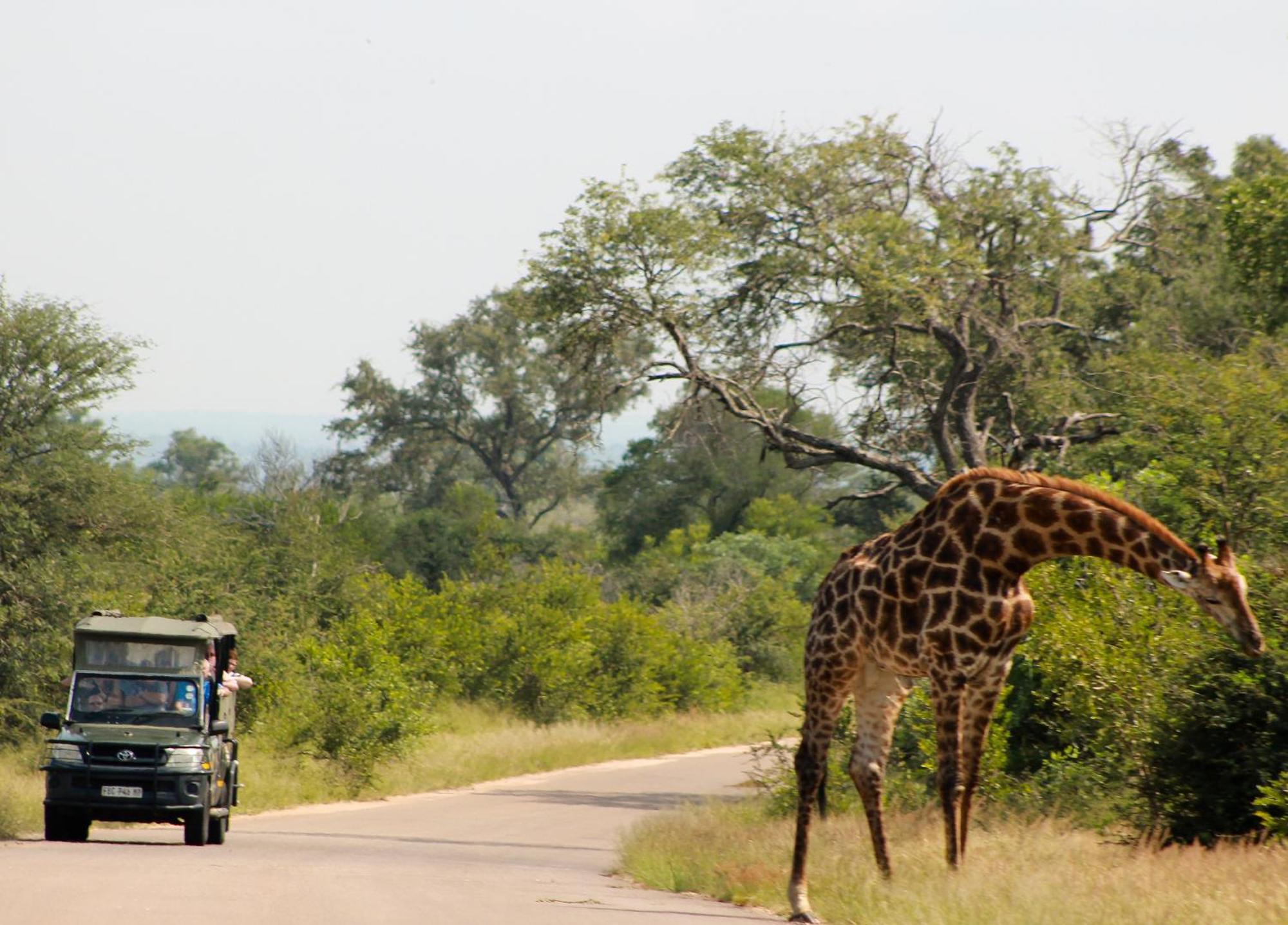 Aha Skukuza Safari Lodge Ngoại thất bức ảnh