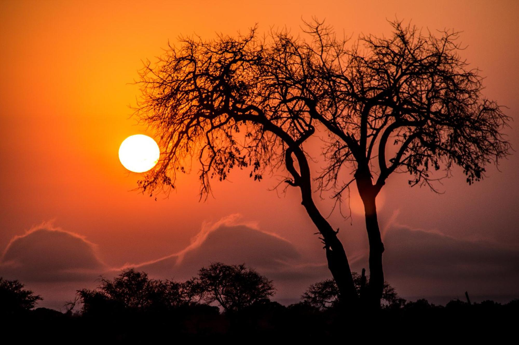 Aha Skukuza Safari Lodge Ngoại thất bức ảnh